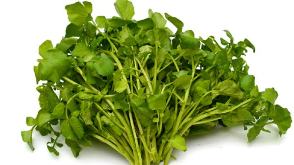 زيت الجرجير يعمل على تقوية بصيلات الشعر 