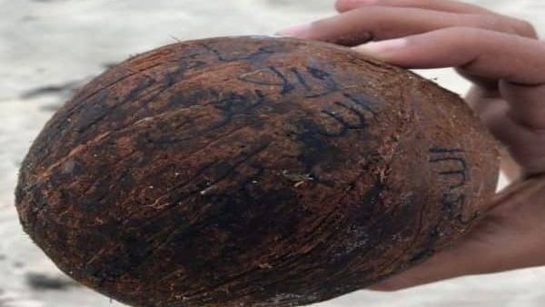 إعصار مكونو اخرج أعمالًا سحرية من قاع البحر