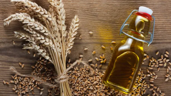 زيت جنين القمح يمنع الكثير من الأمراض ويحد من الإجهاد