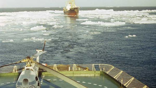 فقدان عبارة تنقل 50 شخصا في وسط المحيط الهادي
