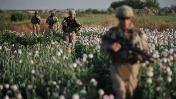 هل يتجه ترامب لـ"خصخصة" الوجود العسكري الأمريكي في أفغانستان؟
