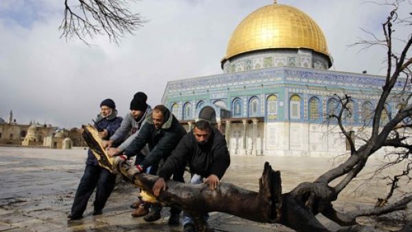 120 مستوطناً يقتحمون المسجد الأقصى - ارشيف 