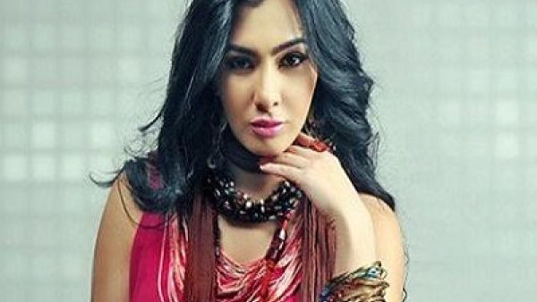 ميريهان حسين بريئة من الهجوم على سعد لمجرد