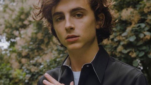 He's well versed in how awards season works  (Source: tchalamet / Instagram )