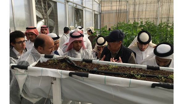 الطلاب يتعرفون من خلال برنامج الأمن الغذائي لحديقة القرآن النباتية على مبادئ الزراعة.