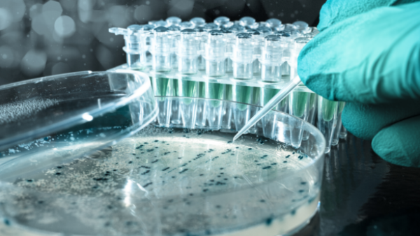 Biotech is a booming industry worldwide. (Shutterstock)