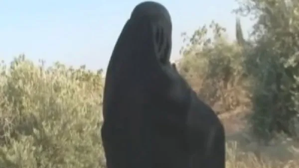 ارشيف