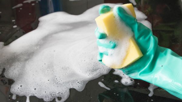 اسفنجة المطبخ تعتبر بمثابة البيت المرفه للبكتيريا اسفنجة المطبخ تعتبر بمثابة البيت المرفه للبكتيريا