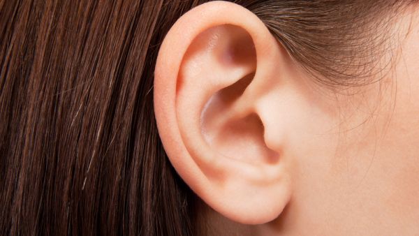 Part of the woman's ear was lost in the attack, leaving her with permanent injury. (Shutterstock)