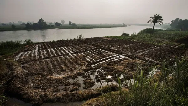 Sudan has banned all agricultural and animal product imports from Egypt amid growing tensions between the two countries. (Gianluigi Guercia/ AFP)