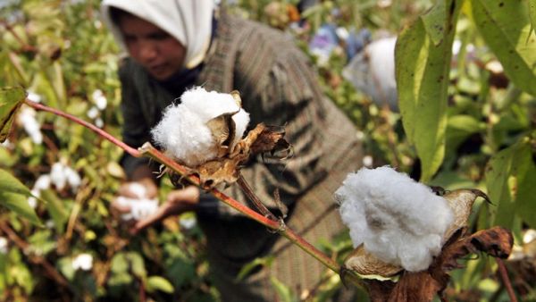 Egypt has reported a decline in the unemployment rate during the first quarter of 2017, to reach 12 percent of the total labor force, compared to 12.7 percent in the first quarter of 2016, with youth (15-29 year-olds) making up 79 percent of the total unemployed ratio. (AFP) Egypt has reported a decline in the unemployment rate during the first quarter of 2017, to reach 12 percent of the total labor force, compared to 12.7 percent in the first quarter of 2016, with youth (15-29 year-olds) making up 79 percent of the total unemployed ratio. (AFP)