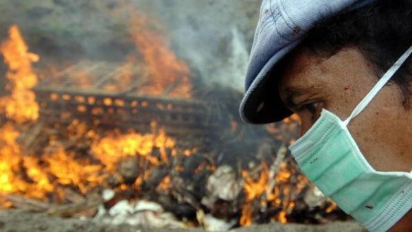 A 22-year-old Egyptian woman became the 12th fatality from the virus this year on Sunday. (AFP/Sonny Tumbelaka) 