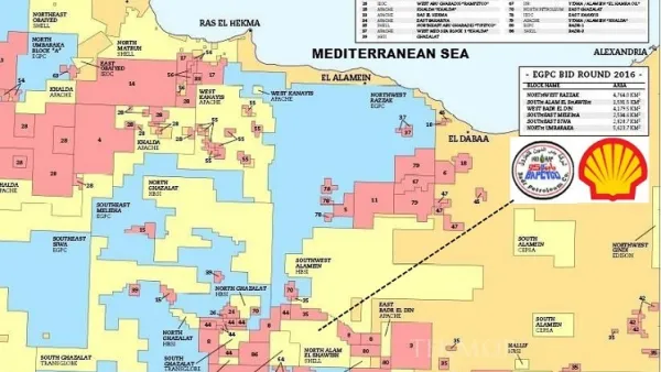 Egypt witnessed a large flow of investment from international oil companies in the wake of the June 30 revolution. (Reuters)