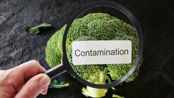 Highlighting that unsafe food threatened especially young children, the report added: "Although children under 5 make up only 9 percent of the world’s population, they account for almost 40 percent of foodborne disease and 30 percent of related deaths." (Shutterstock)