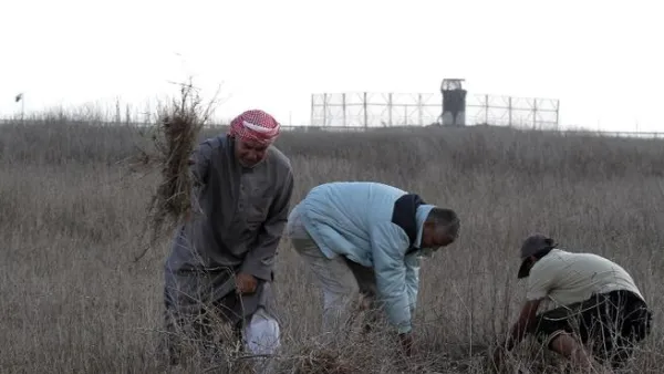 مزارعون فلسطينيون يعملون في حقلهم بالقر من الحدود الاسرائيلية مع غزة/الاثنين/أ.ف.ب