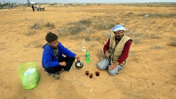 مزارع فلسطيني يحتسي الشاي مع ابنه خلال استراحة من العمل في الارض/أ.ف.ب