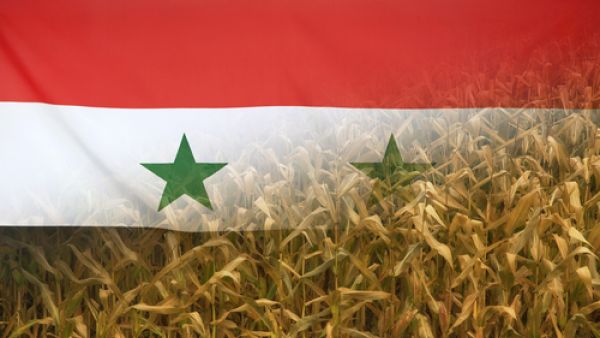 يوزع برنامج الأغذية العالمي حصصا على أكثر من أربعة ملايين شخص في سوريا شهريا