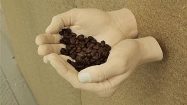 نعلم جيداً بأن الحكومة ممثلة بوزارة الصناعة والتجارة لا تتدخل بالأسعار لأن الأردن عضو في منظمة التجارة العالمية