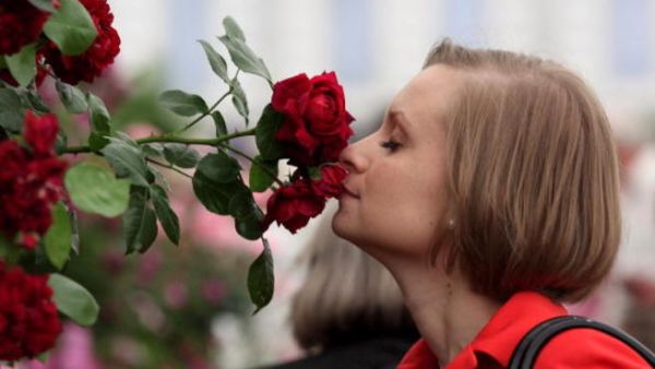 خلايا الدم تتستقبل الروائح تماماً كما يفعل الأنف، المسؤول بشكل رئيسي عن حاسة الشم