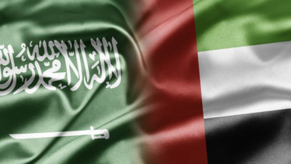 عدد الشركات السعودية العاملة في الإمارات يبلغ أكثر من 2360 شركة بحجم استثمارات وصلت إلى أكثر من 10 مليارات دولار