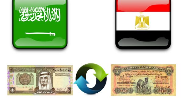 حجم الاستثمارات والتبادل التجاري في مجال الاتصالات بين السعودية ومصر ضعيف، ولا يرتقي للتطلعات، ولذلك تم وضع خطة من خلال برنامج جسور لزيادة حجم الاستثمارات والتبادل التجاري بين البلدين في مجال الاتصالات