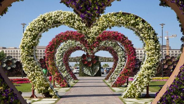 دبي تحتضن أكبر حديقة زهور في العالم 