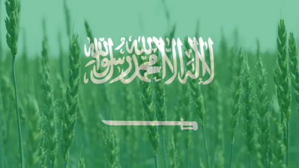 السعودية تطرح مناقصة عالمية لشراء 960 ألف طن شعير