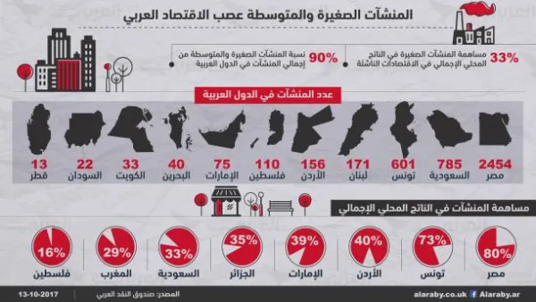 تلعب المنشآت الصغيرة والمتوسطة دوراً بارزاً في تخفيف حدة البطالة في الدول النامية خلال السنوات المقبلة