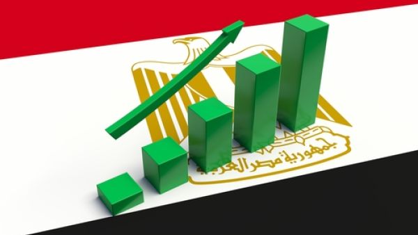 إقرار قانون ضريبة القيمة المضافة من شأنه أن يزيد من عوائد الضرائب المنخفضة في مصر
