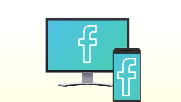 تخطط فيس بوك لإنتاج 24 مسلسل تتوزع ما بين عدد قليل منها إنتاجات ضخمة وطويلة والعدد الأكبر منها مسلسلات قصيرة يتراوح طول الحلقة الواحدة ما بين 5-10 دقيقة سيتم بث حلقة جديدة يومياً عبر قسم الفيديو ضمن التطبيق