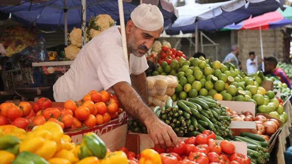 حجم صادرات مصر من الحاصلات الزراعية للدول العربية يبلغ نحو 1.2 مليون طن سنويا