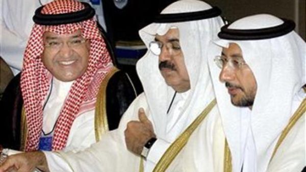 نظراً لتفاوت المستوى الاقتصادي وتباينه بين الأعضاء الجدد والأعضاء المؤسسين ، يأتي ضمناً زيادة الاستثمارات الخليجية في الأردن