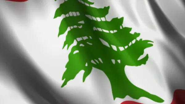 استندت المجلة اللبنانية في تقريرها على مجلة "فوربس" التي تصنف أغنياء العالم إلى أن عائلتي نجيب ميقاتي رئيس حكومة تسيير الأعمال ورفيق الحريري رئيس الوزراء الأسبق اللبنانيتين تمتلكان وحدهما 14 مليار دولار، أي 15% من مجمل الثروات الخاصة في لبنان