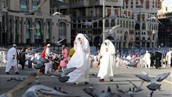 عزا متخصصون سبب زيادة الإيرادات إلى ارتفاع كلفة الحج والمعيشة