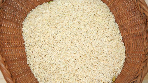 مصر تتوسع في زراعة الأرز مع تفاقم فاتورة الواردات