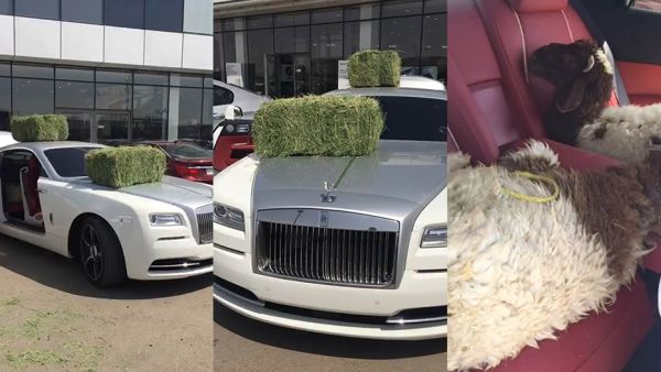 رولز رويس رايث الرياضية الفاخرة تأتي بسعر يبدأ من 1,100,00 ريال سعودي