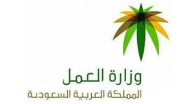 تنفيذ استراتيجية التوظيف يتطلب توفير الموارد اللازمة حتى يمكن وضع الآليات موضع التنفيذ ضمن إطار زمني محدد