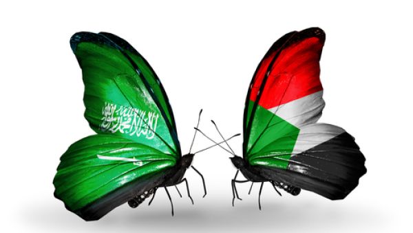 المستثمرين السعوديين يعانون مشكلات تحويل الأرباح وصعوبة توفير العملة الصعبة لتوفير المستلزمات التشغيلية، والتدهور المستمر في سعر صرف الجنيه السوداني