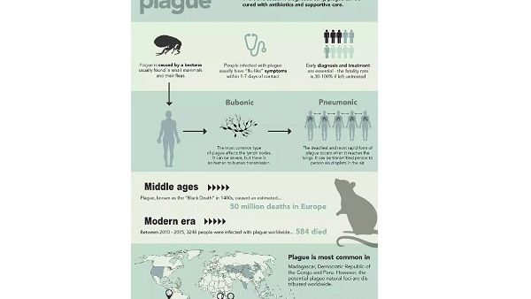 The Ministry of Health has issued a warning to UAE nationals and residents about traveling to Madagascar. 