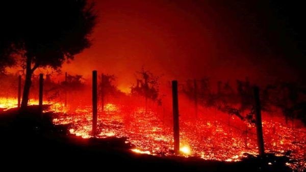 حرائق كاليفورنيا.. 29 قتيلا و228 شخصا في عداد المفقودين