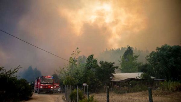 حرائق الغابات تدمر 130 ألف هكتار من الأراضي في تشيلي
