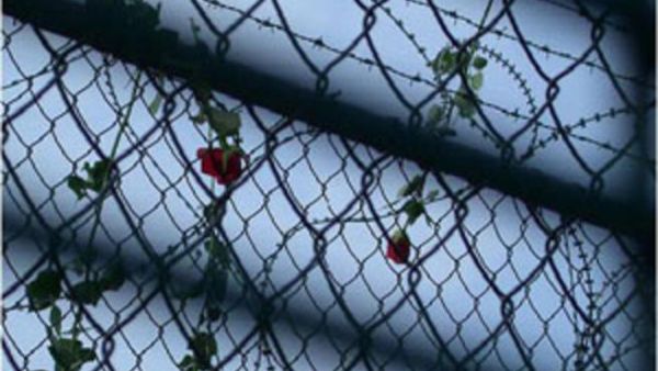 Ali spent three years in prison after being deported to Iraq after lying about his homeland. [blogspot]