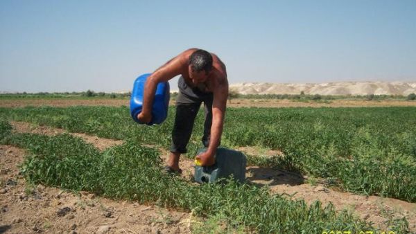 Newly released figures show that 235,000 foreigners work legally in Jordan