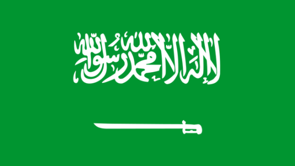 But while the Saudi government doesn’t have its head stuck in the sand, it isn’t clear that it is doing enough to tackle the country’s foreseeable financial problems But while the Saudi government doesn’t have its head stuck in the sand, it isn’t clear that it is doing enough to tackle the country’s foreseeable financial problems
