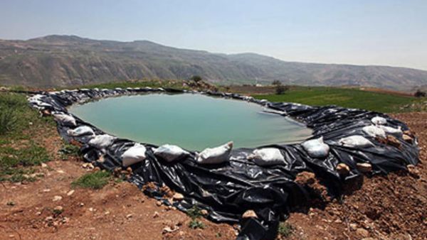بركة اصطناعية في غور الاردن/ارشيف