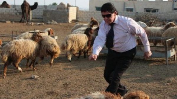 خلقت الصور الطريفة التي نشرها حداد على صفحته أجواء فكاهية
