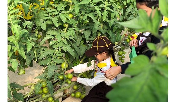 The new partnership will promote environmental sustainability and healthy eating among Qatar’s youth to meet the challenges of the future.