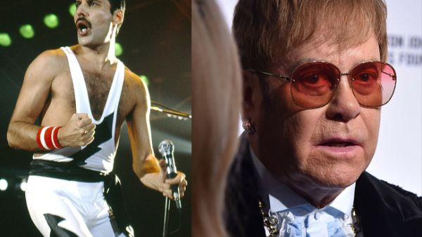 Freddie Announced that he had AIDS the day before he died on November 24, 1991(Source: Shutterstock ) 