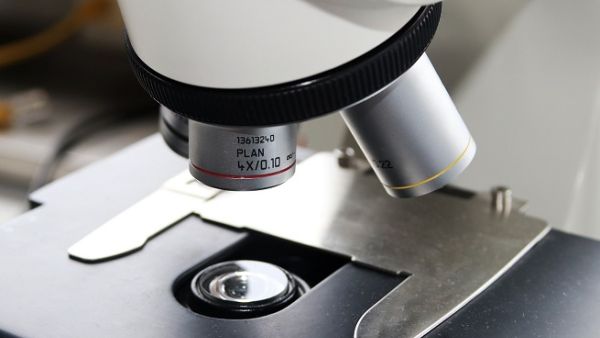 Fakih IVF is looking to expand within the UAE and the GCC region. (Courtesy of Godubai.com)