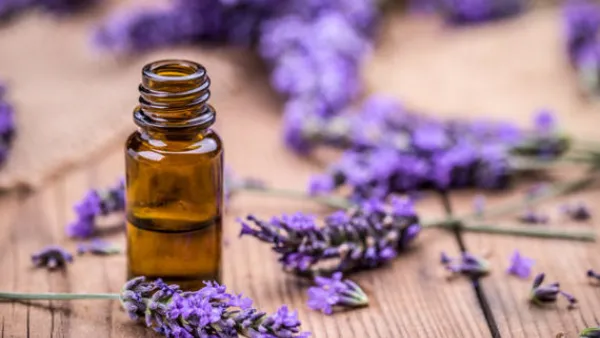 يعمل زيت اللافندر كمرطب طبيعي للبشرة (shutterstock.com)
